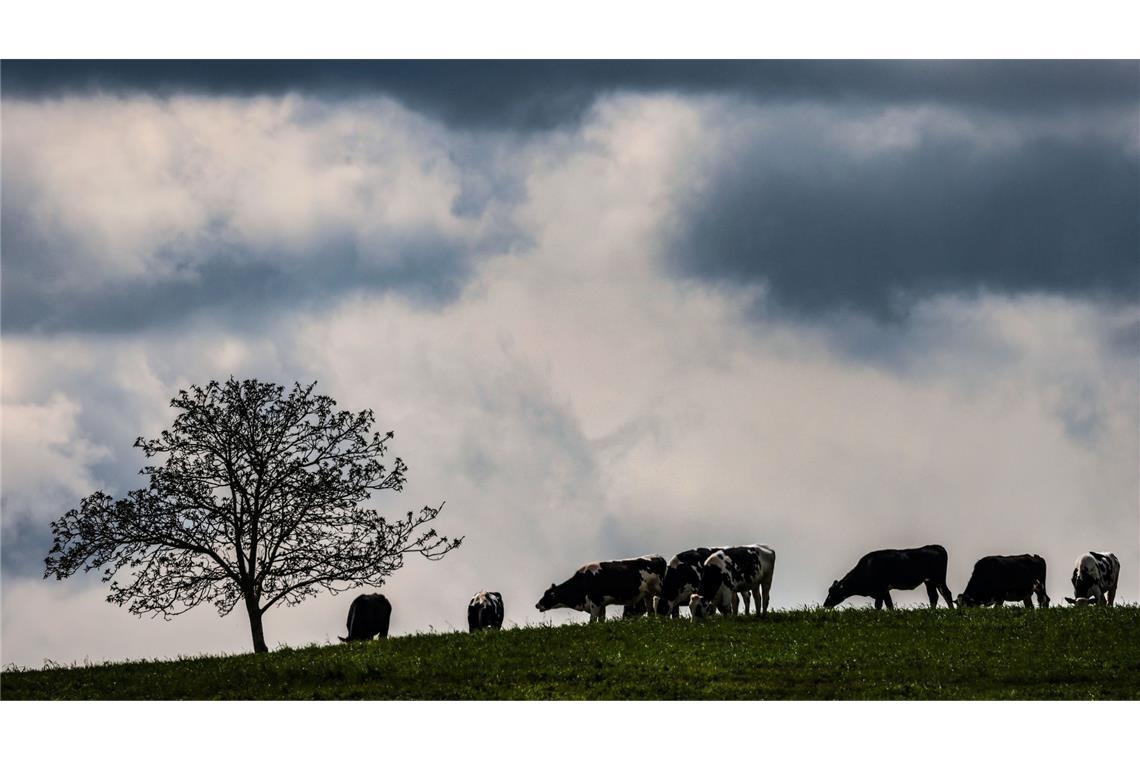 Zwischen dem Alpenrand und der Lausitz werden laut DWD am Montag teils starke Gewitter erwartet. (Archivbild)