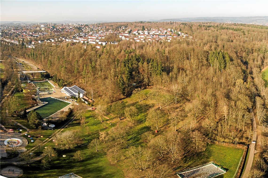 Zwischen der Straße nach Steinbach, dem Freibad und dem Radweg entlang der Murr werden nicht viele Bäume stehen bleiben. Der Kahlschlag dient der Verkehrssicherung. Foto: A. Becher